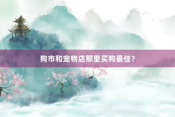 狗市和宠物店那里买狗最佳？